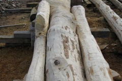 img_0999_550pix