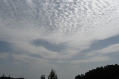 IMG_1492_700