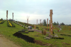 attls0353_800
