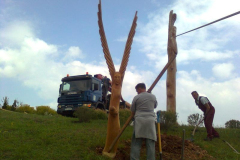 attls0360_800