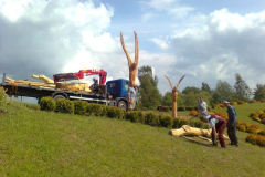 attls0361_800
