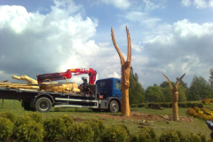 attls0362_800