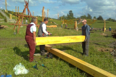 attls0366_800