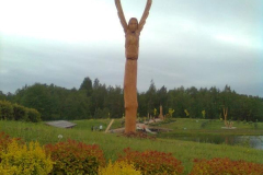 attls0379_800