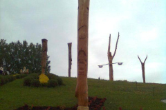 attls0384_800