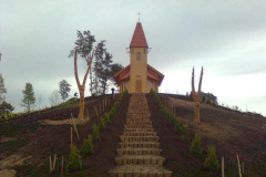 attls0391_800