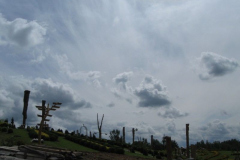 IMG_6471_800