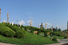 IMG_7086_st_800