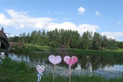 IMG_9078_800