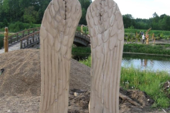 IMG_0427_800